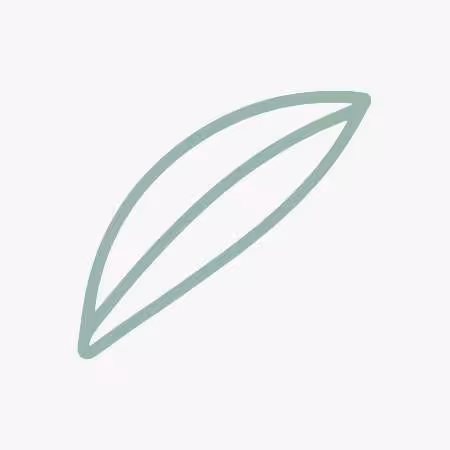 Seagrass Image